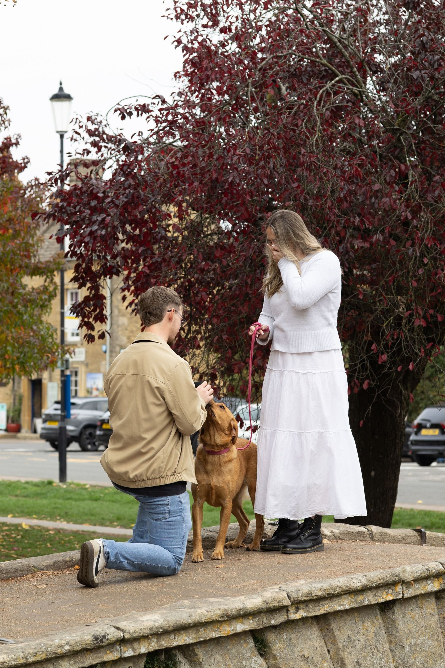 A proposal moment on a stone wall with a dog present during autumn.