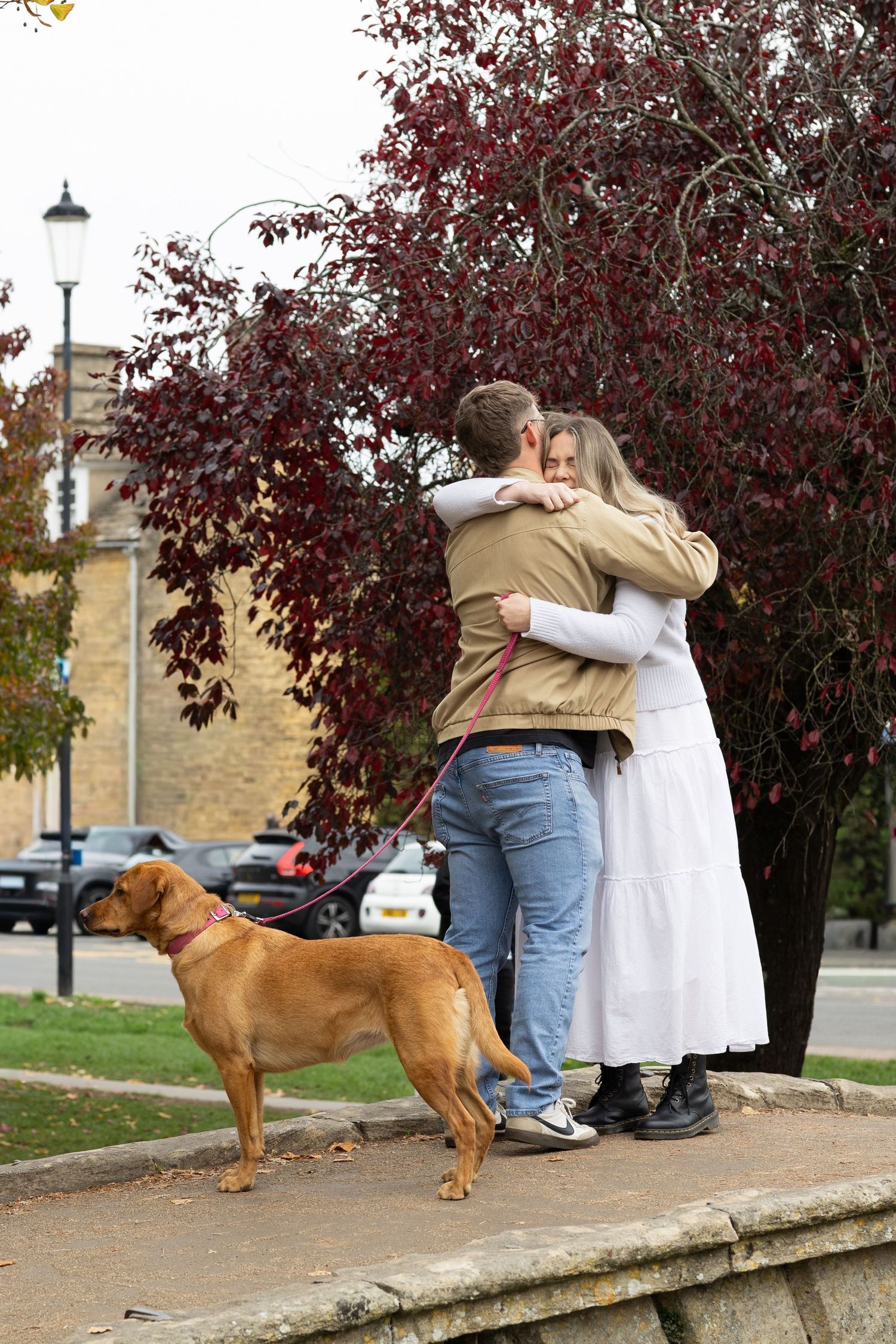 A couple sits on a stone ledge with their brown dog during an autumn day.