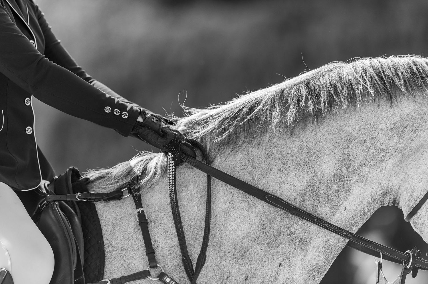 Close up image of rider and horse at The Hampton Classic Horse Show in Bridgehampton, NY