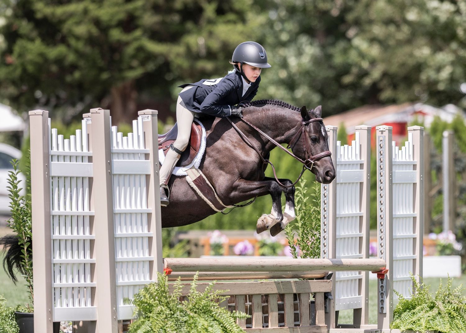 Hunter rider competing at The Hampton Classic Horse Show in Bridgehampton, NY