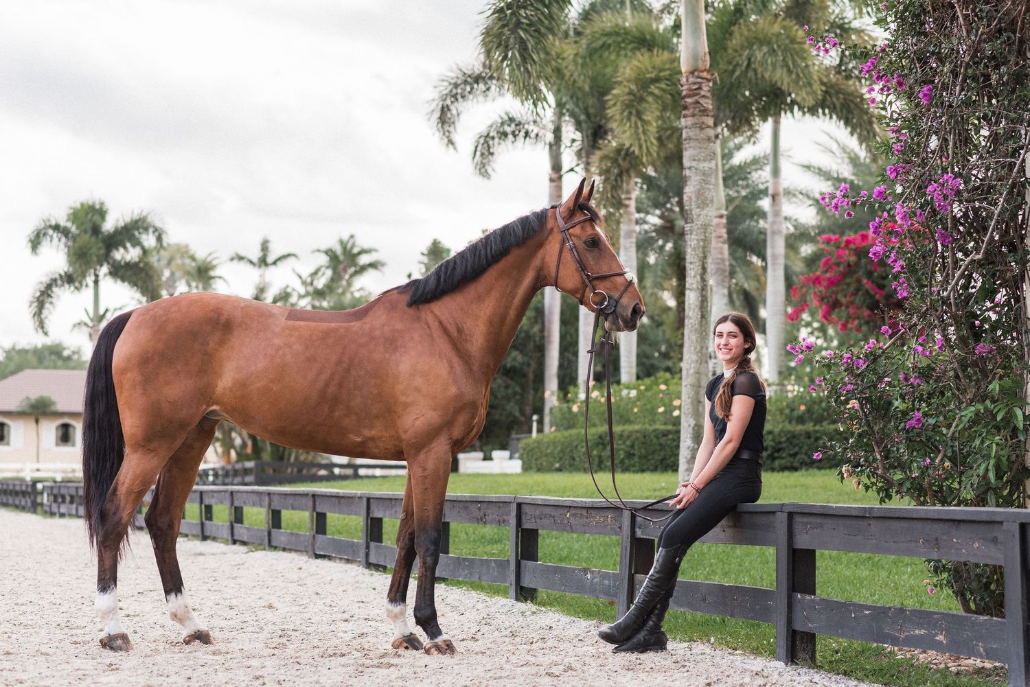 Elegant rider portrait in Vero Beach, Florida at sunset.