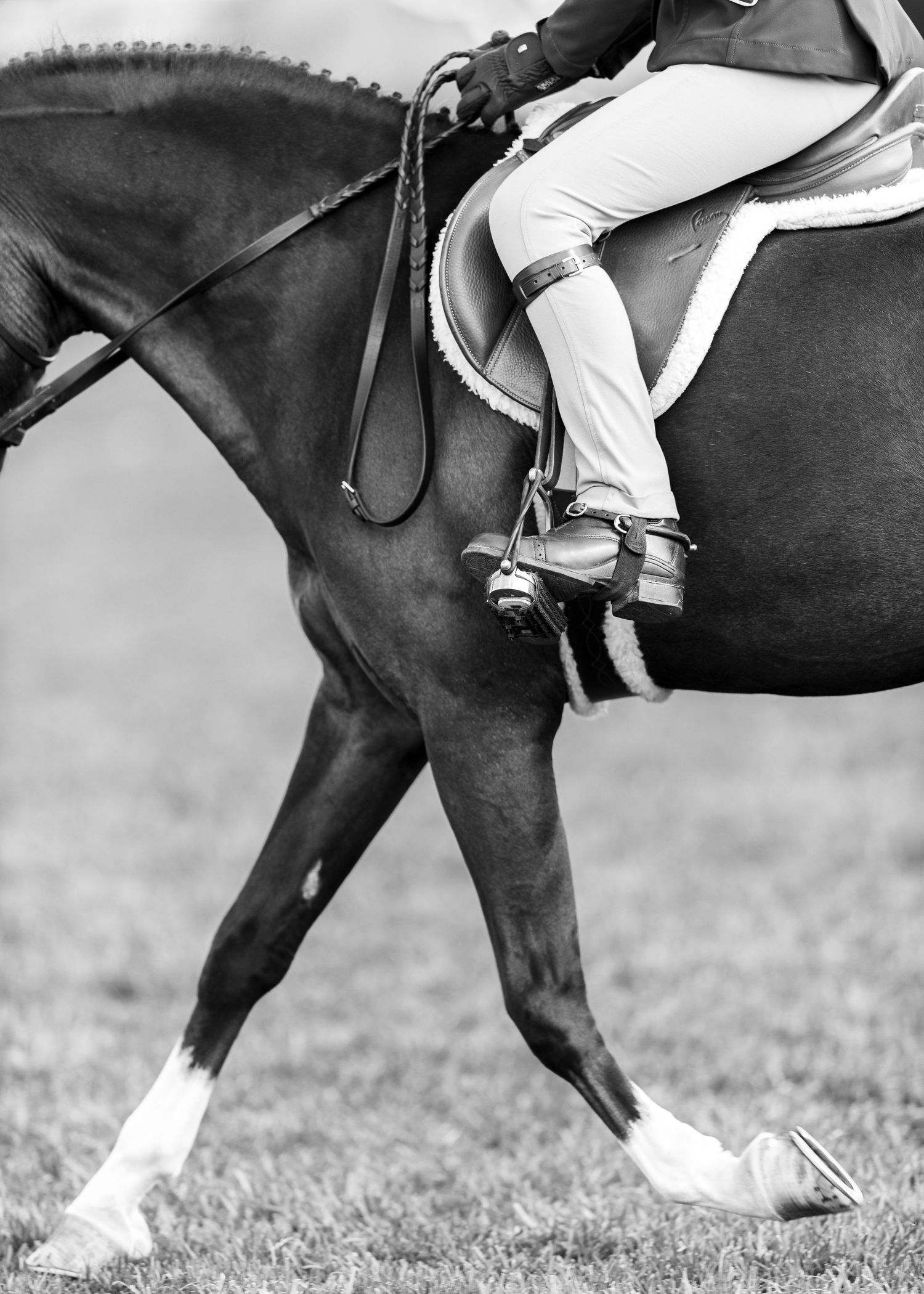 Close up image of a horse and rider competing at a horse show in Florida.