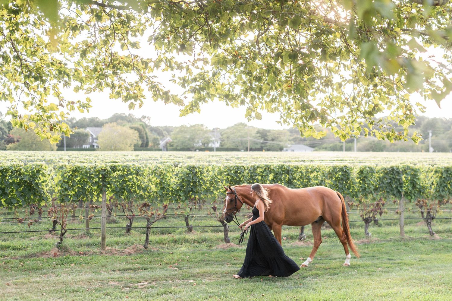Timeless equestrian portrait celebrating the bond between horse and rider in The Hamptons, NY.