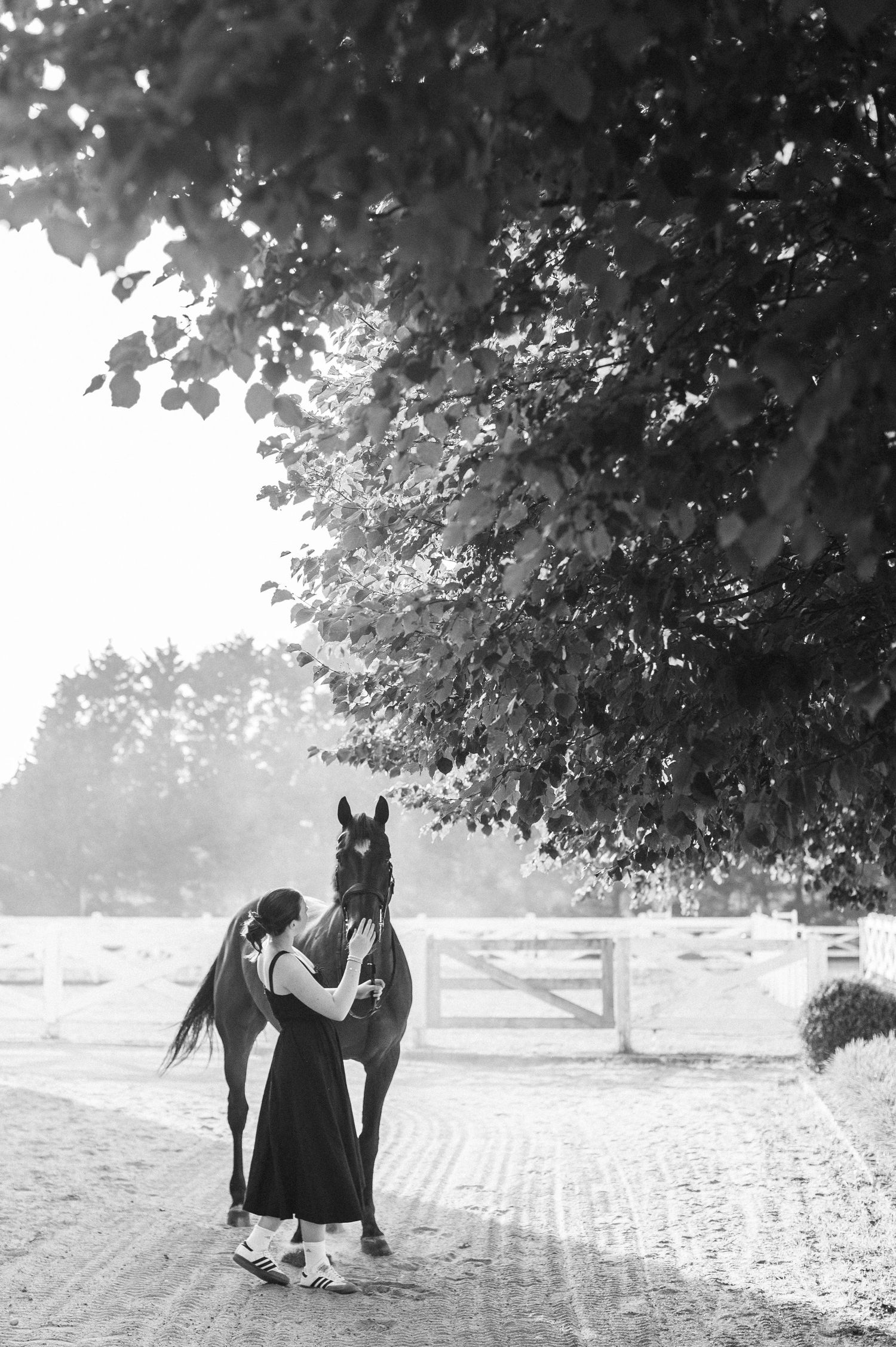 Equestrian portrait session in The Hamptons capturing connection between horse and rider.