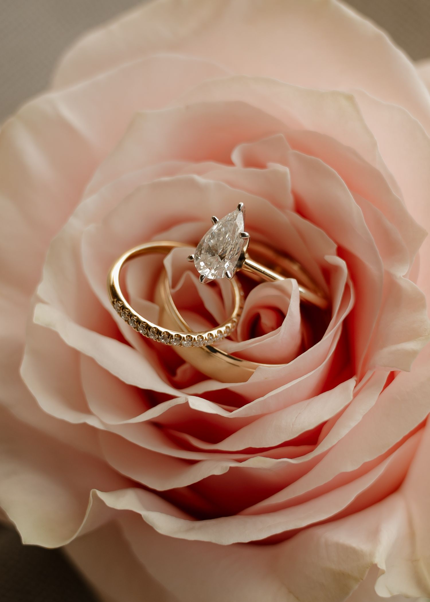Gold pear-shaped diamond engagement ring and wedding band nestled in soft pink rose petals.