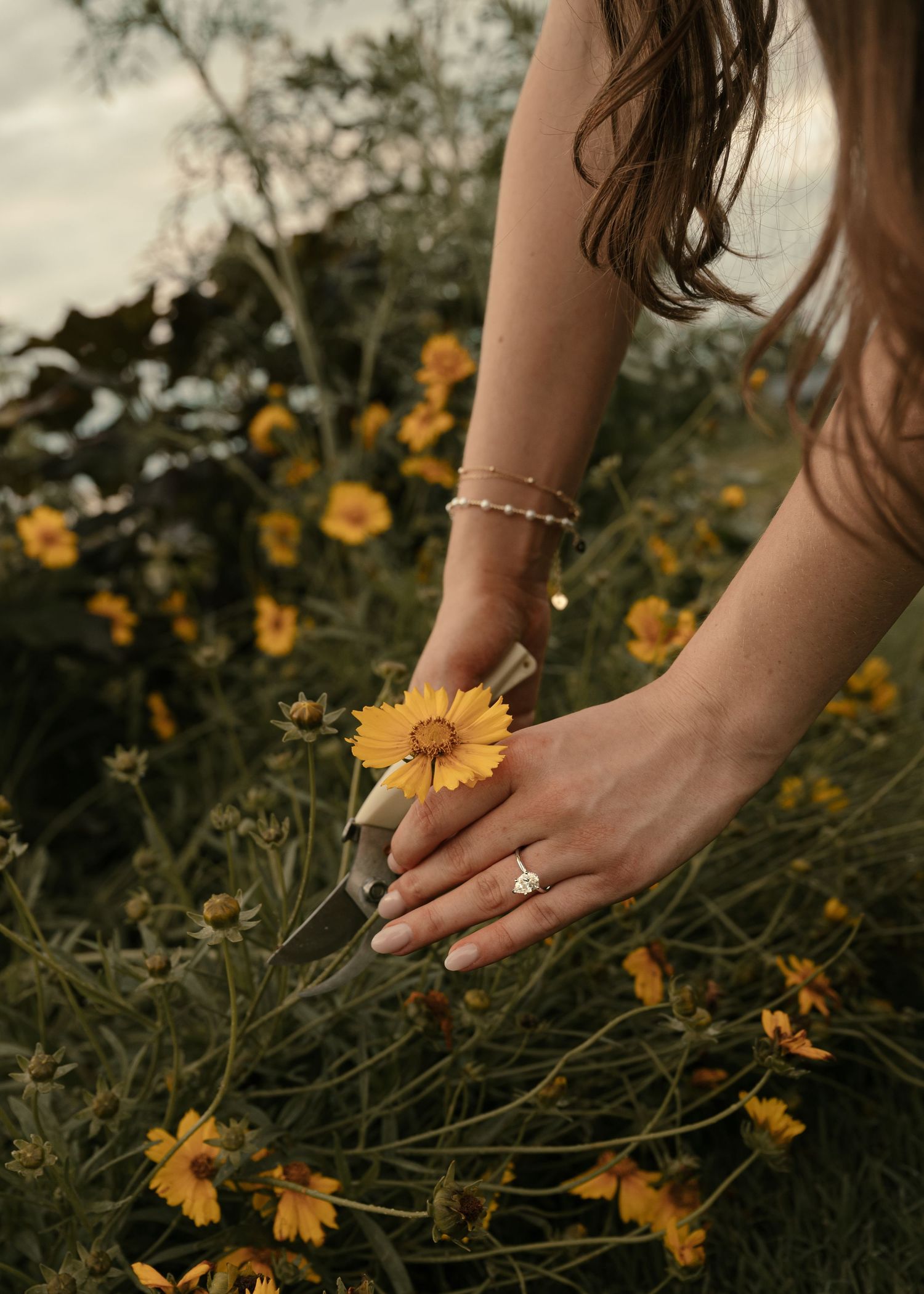 Woman with diamond ring and bracelet picking yellow wildflowers in a lush garden field.