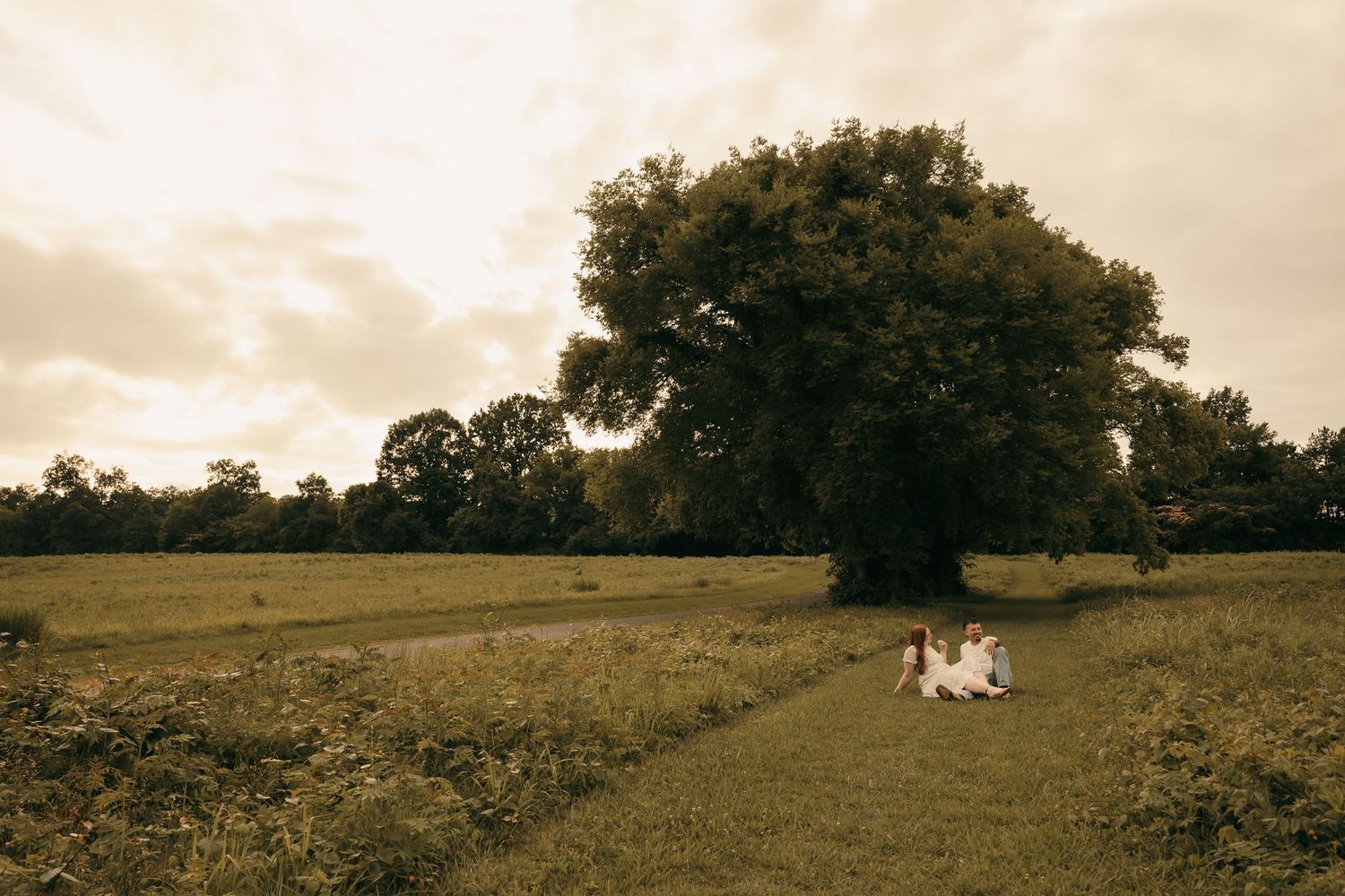Couple sitting under a large tree in a green field with a dramatic cloudy sky at sunset.