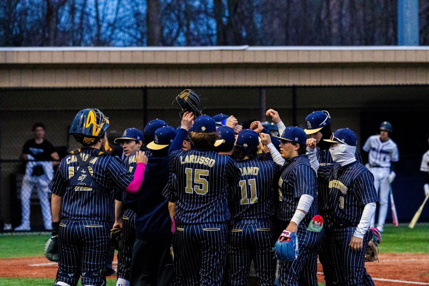 Baseball team in pinstriped uniforms celebrates together on the field during a game.