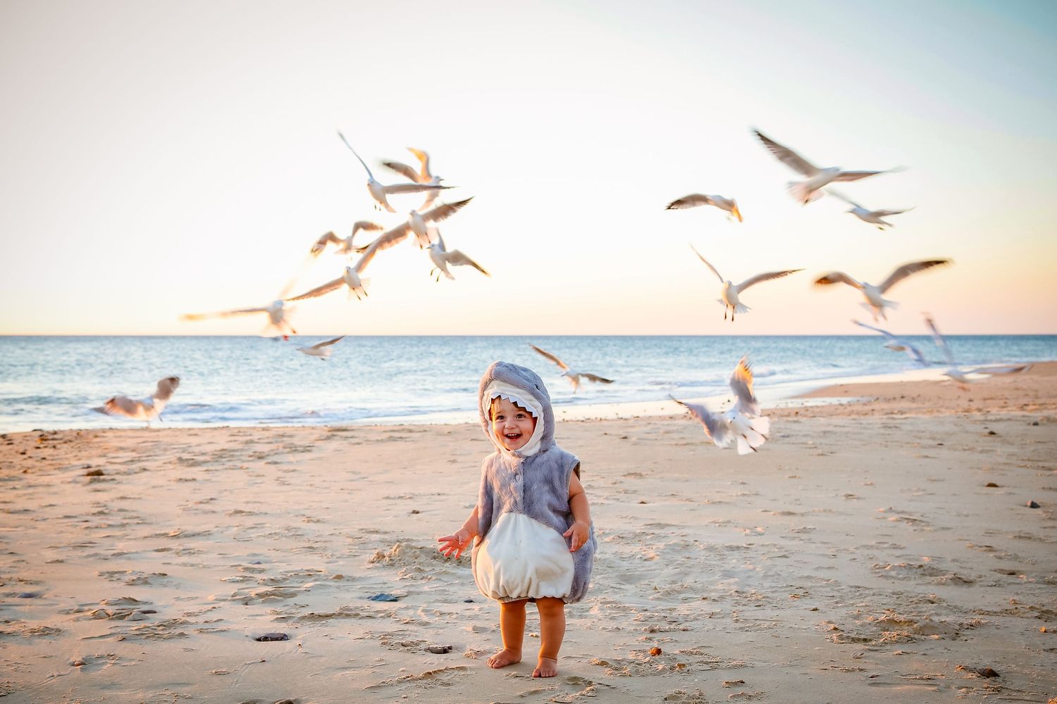 Cute boy in shark costume enjoying beach day with seagulls on sandy shore in Adelaide, South Australia