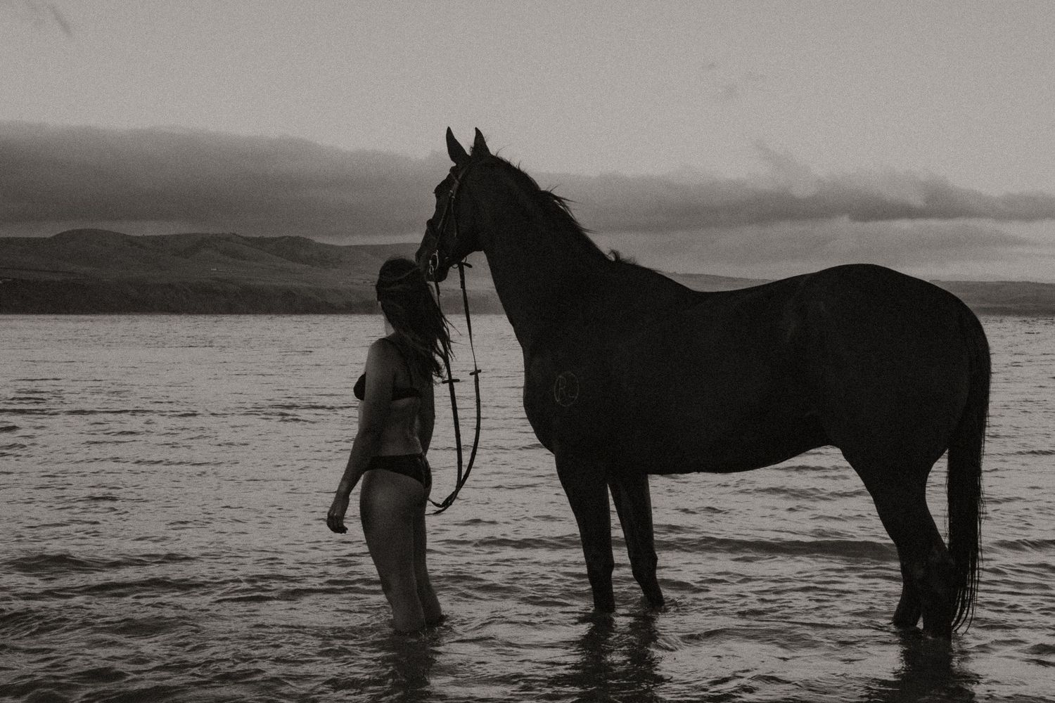 Lady standing with her horse looking at the ocean.  Adelaide, South Australia