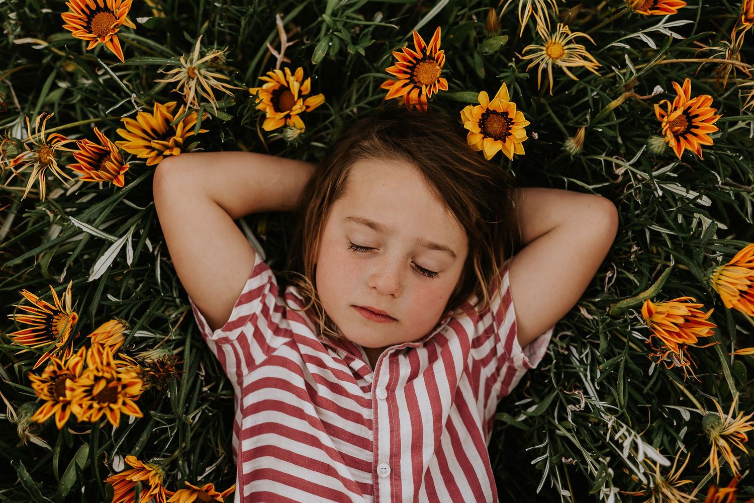 Boy laying in a field of flowers, Adelaide South Australia - Raised by Water Photography
