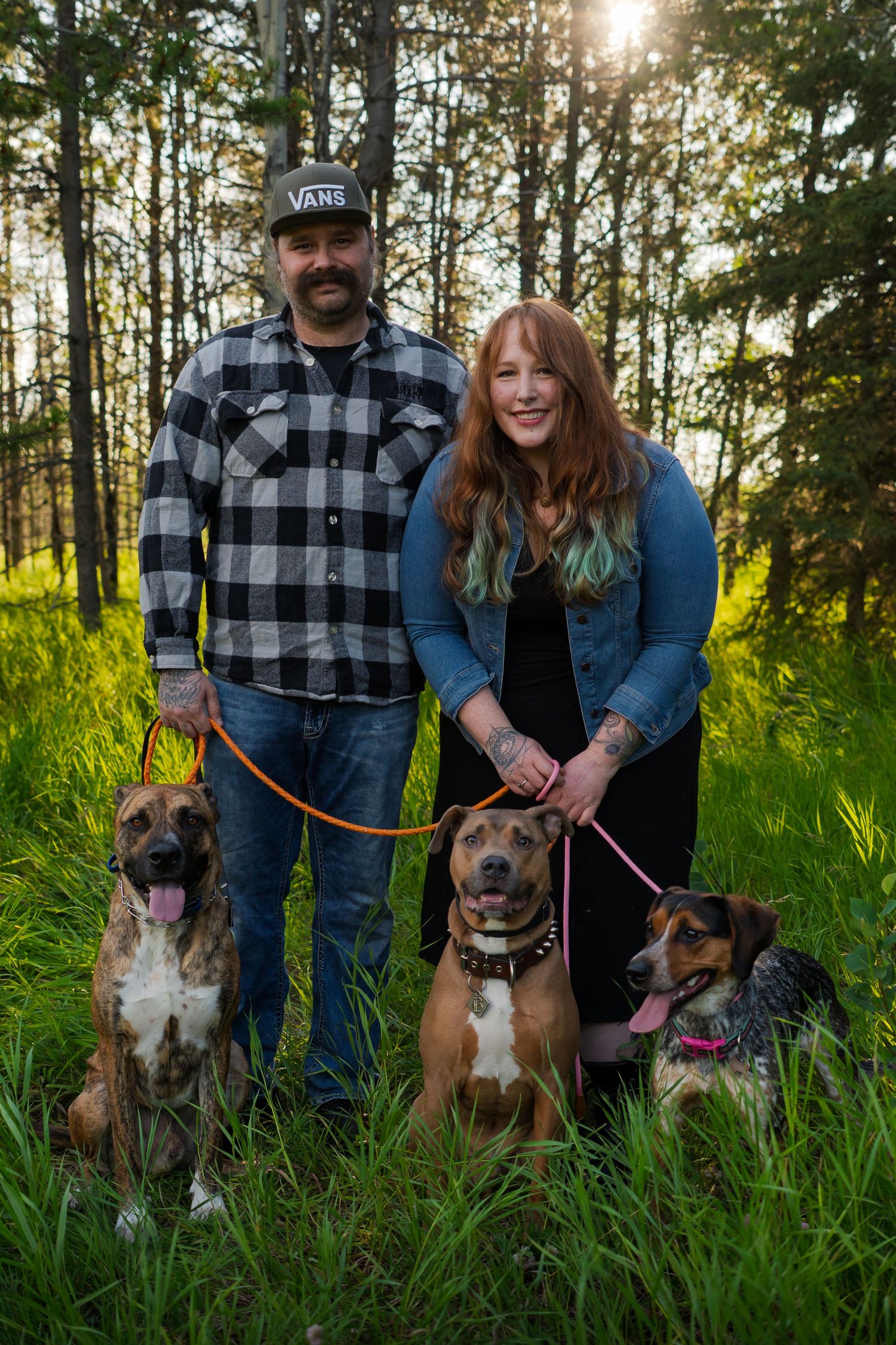 Family photo of three dogs with their owners against a backdrop of pine trees at sunset.