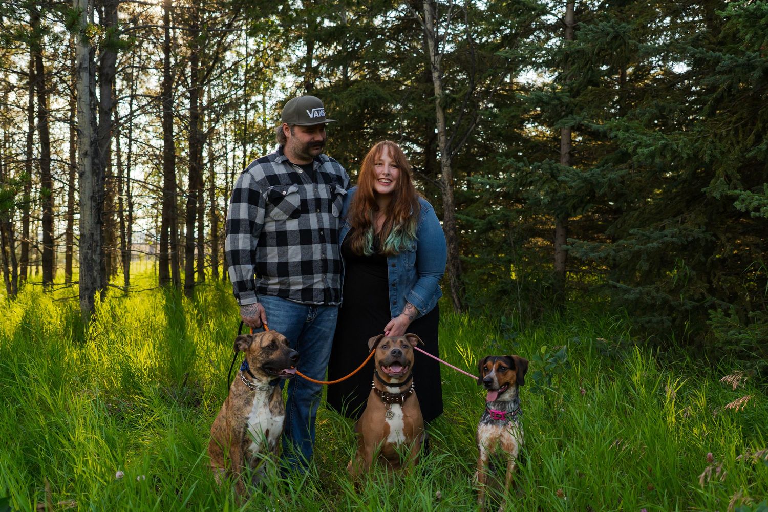 Group portrait with three dogs in a natural outdoor setting with tall grass and trees.