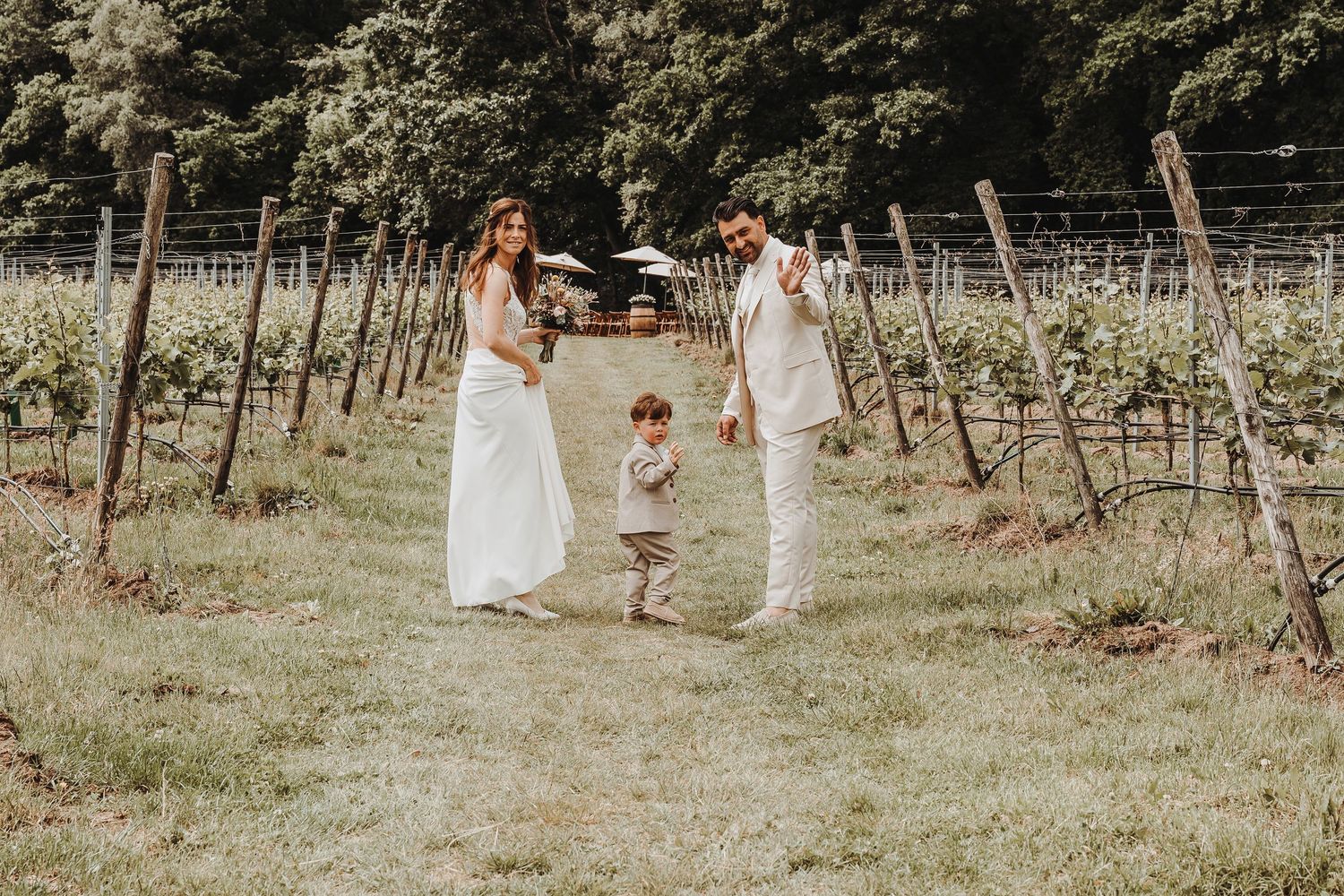Scenic vineyard wedding venue with rows of grapevines in the background.