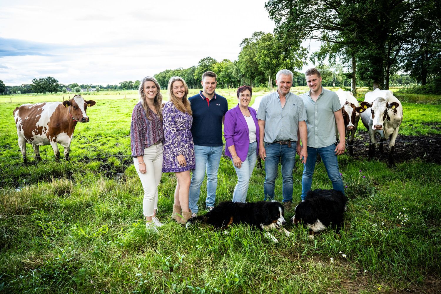 Family and cows gather together in a sunny green pasture for outdoor photos.