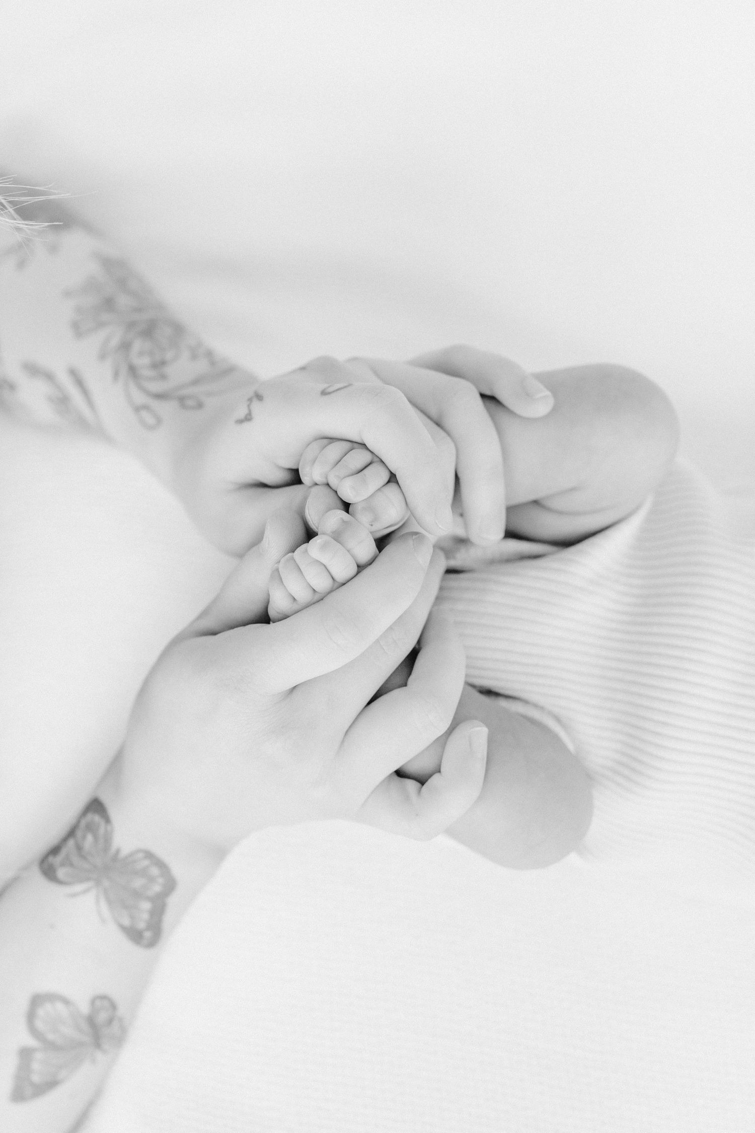 Lynchburg, VA Newborn Photographer