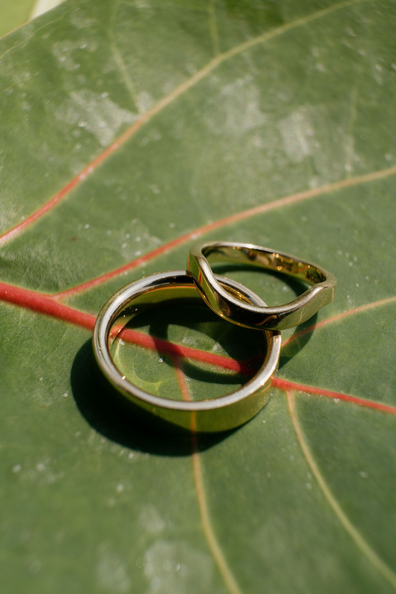 Two wedding rings photographed on a green leaf with dramatic lighting and shadows.