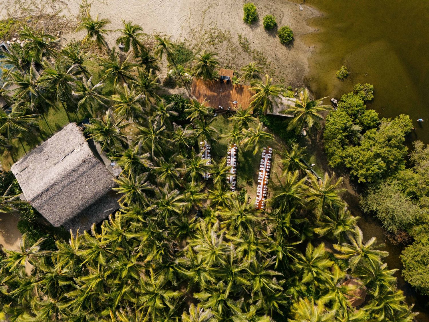 Aerial view of tropical resort with palm trees and thatched roof buildings surrounded by lush vegetation.