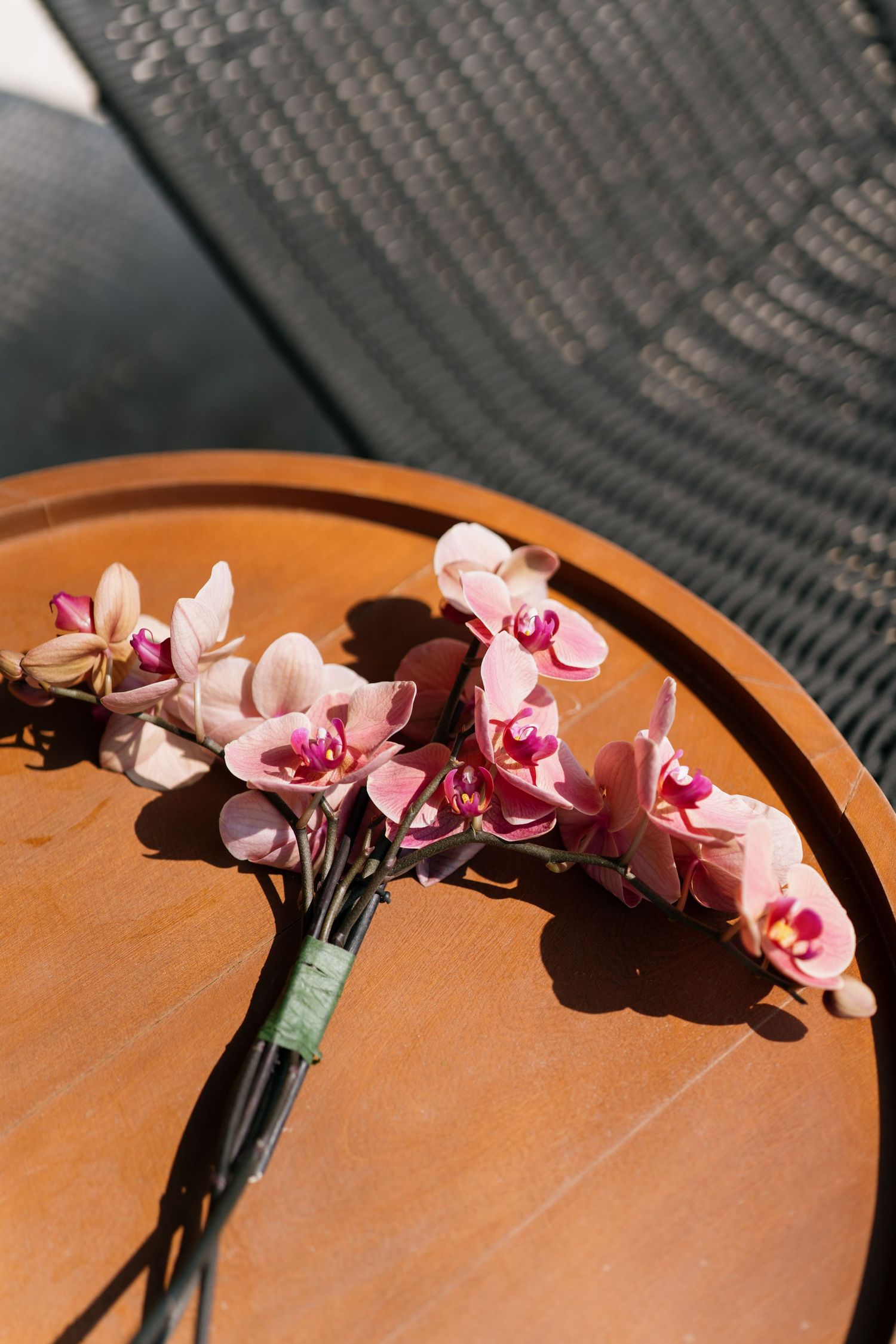 Pink orchid stem arrangement on a terracotta plate in natural sunlight.