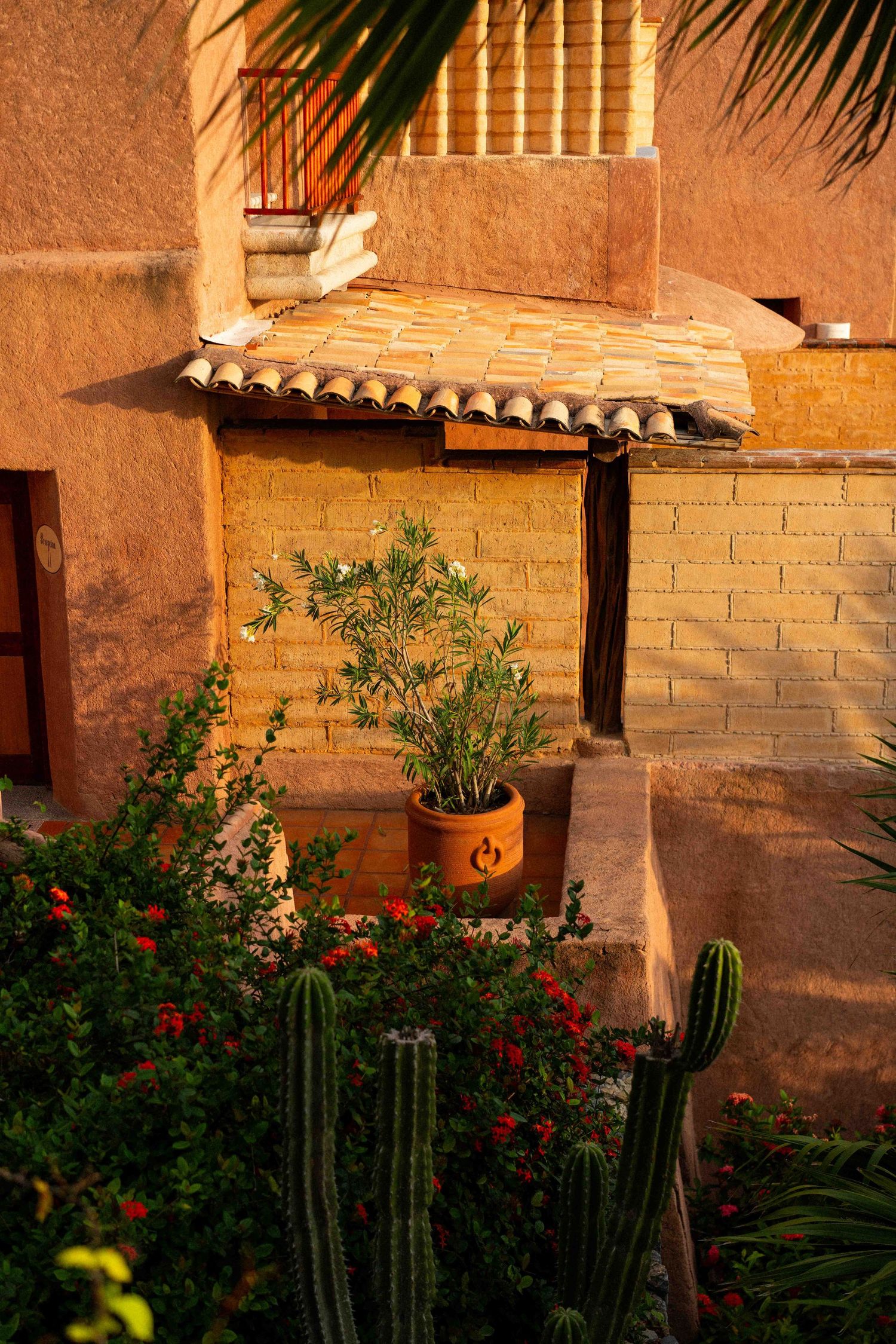 A southwestern garden scene with cacti, red flowers, and adobe walls illuminated by warm evening light.