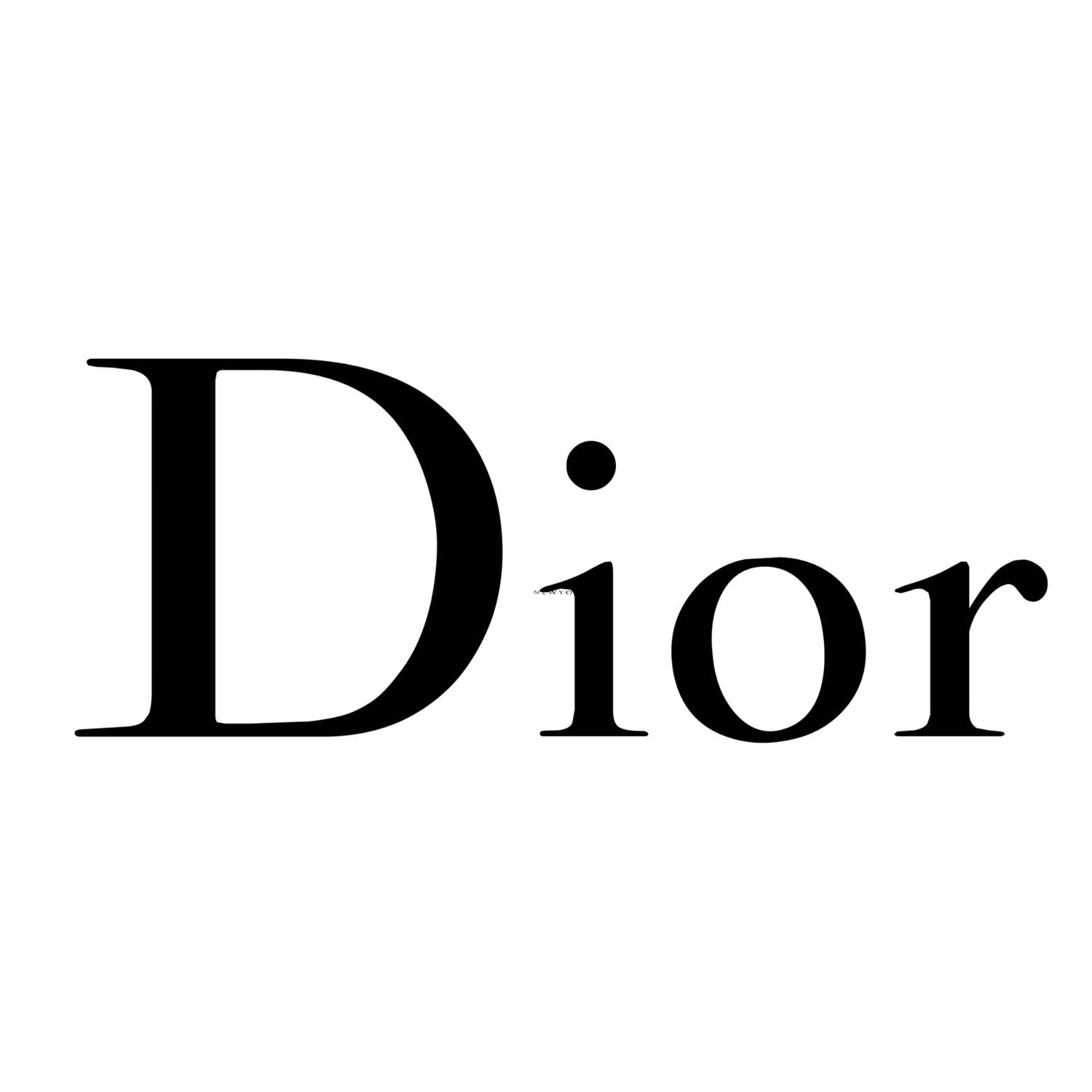 Dior luxury fashion brand logo in elegant black serif typography on a white background.