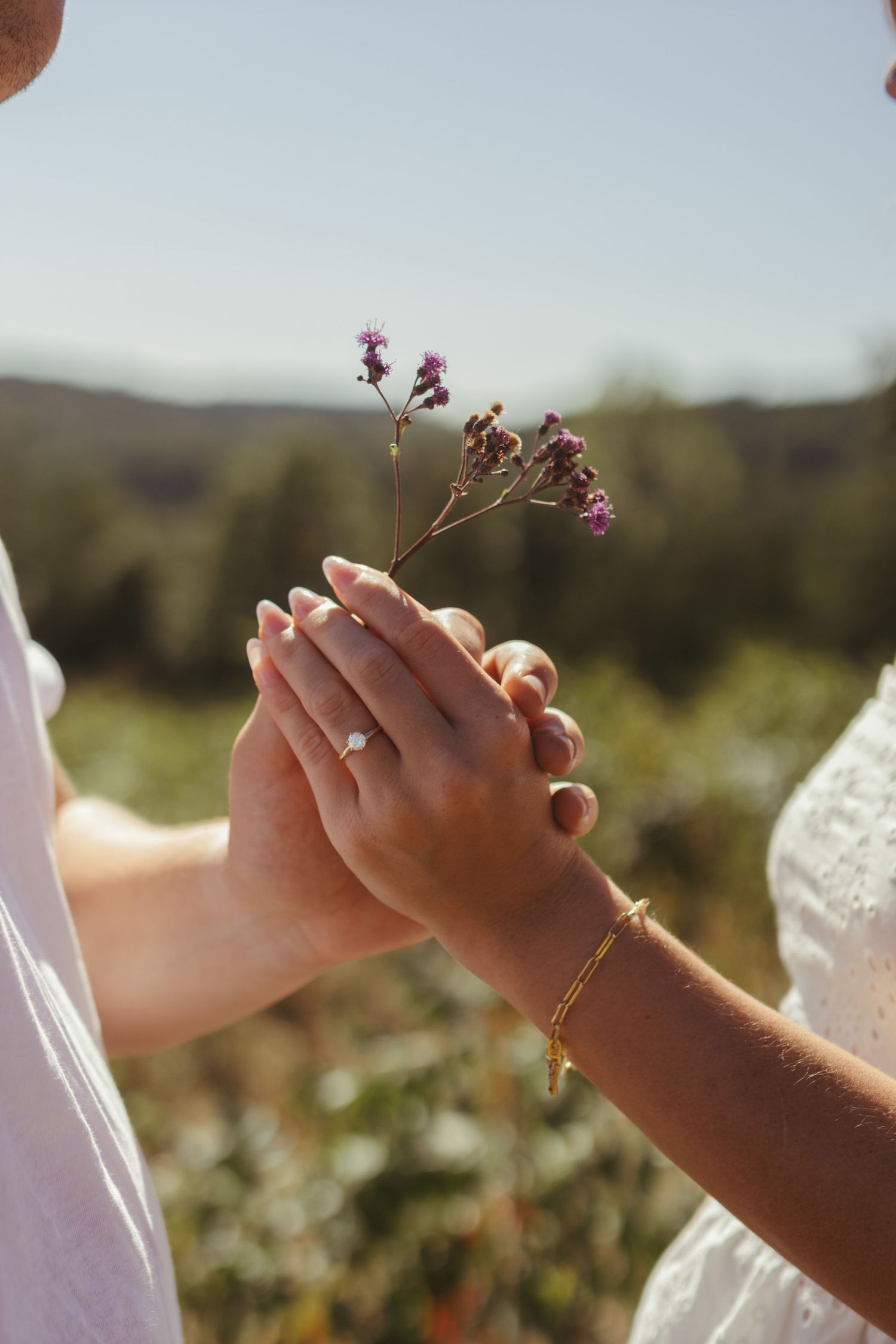 An engaged couple holding hands in an open field. Close up of engagement ring and flower.
