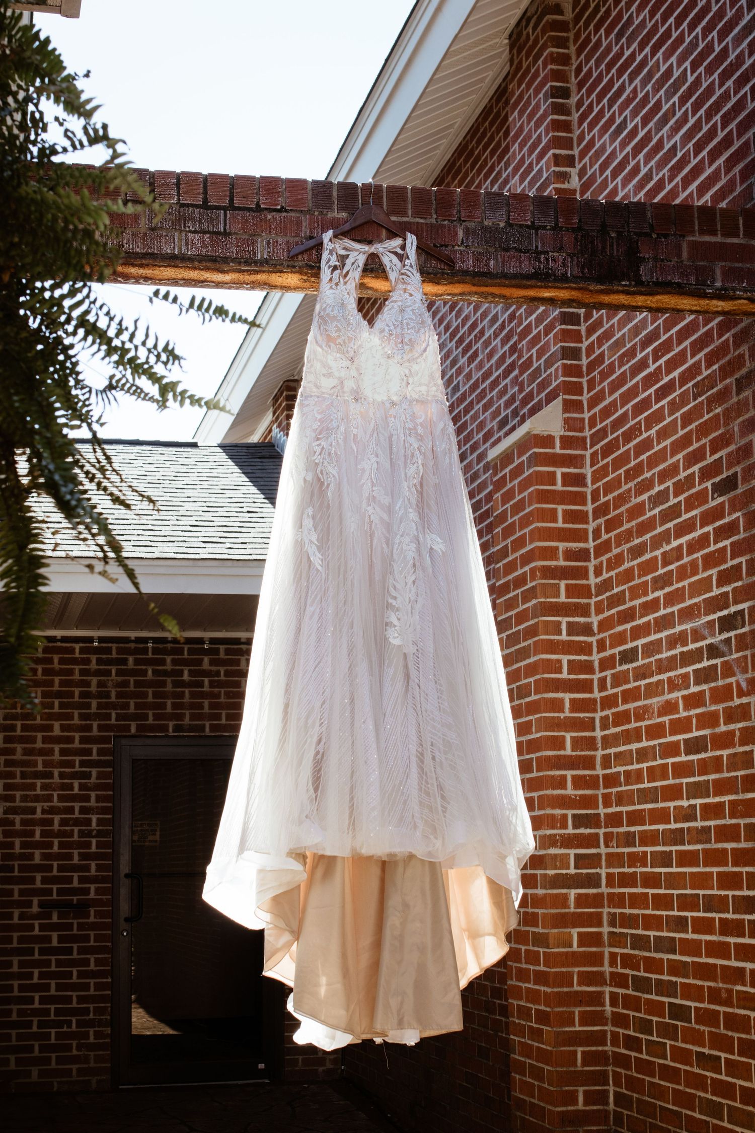 Wedding dress hanging up, leafy plant out of focus on the side.