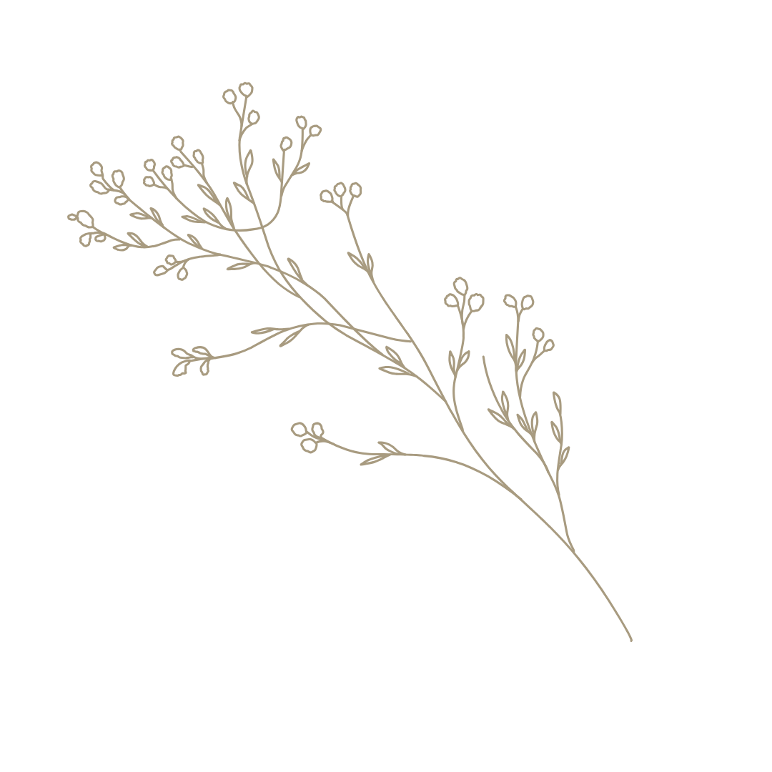 Flower design element.