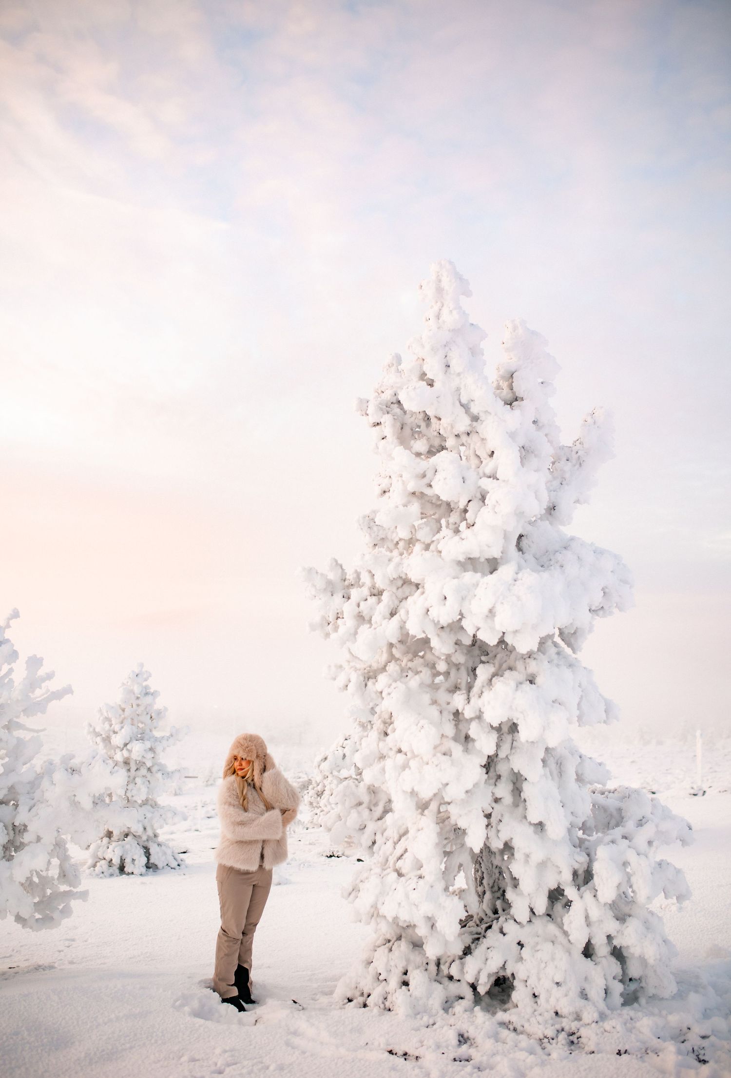 Lapland photographer