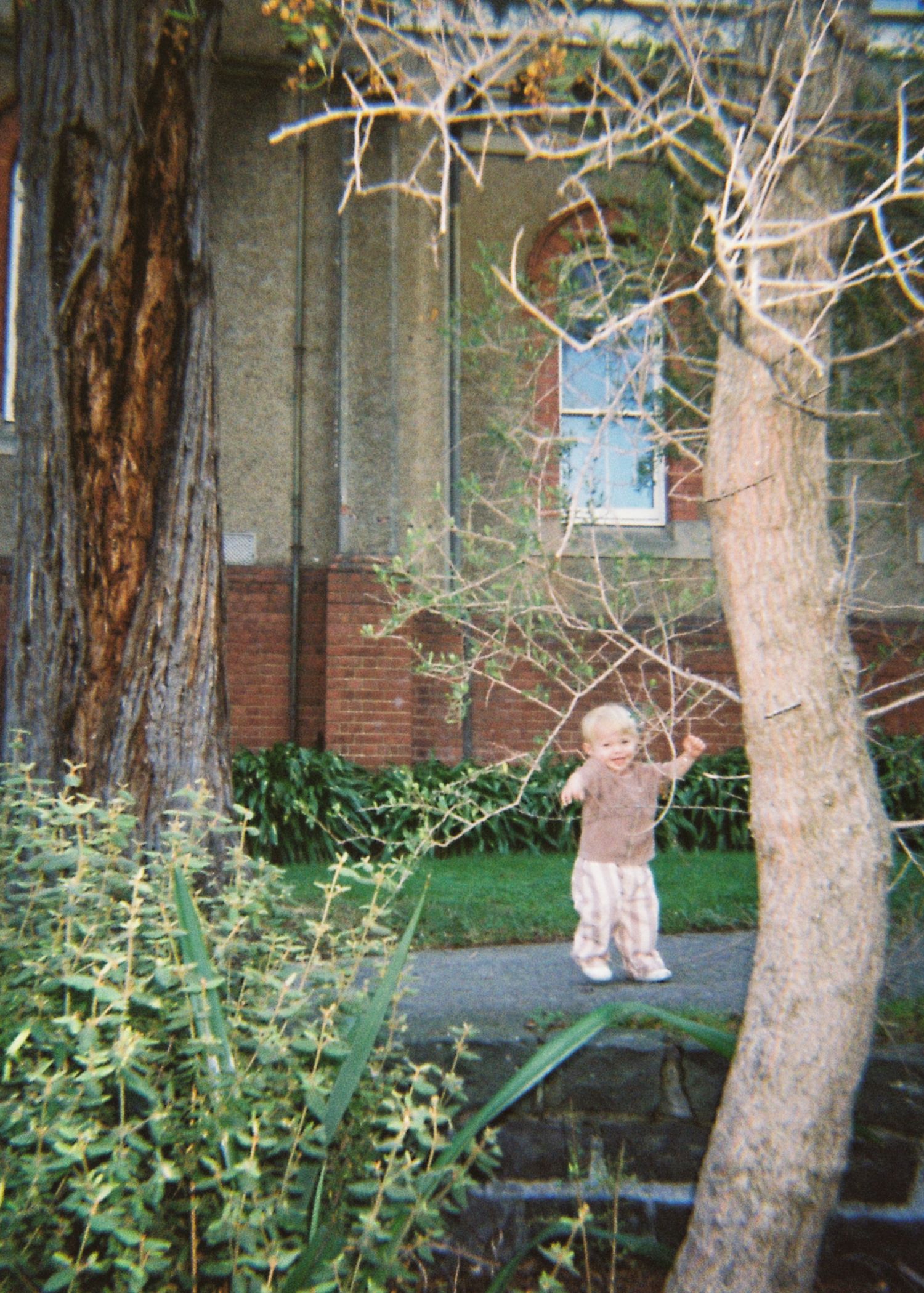 A curious toddler stands among bare-branched trees and shrubs beside a historic brick building.