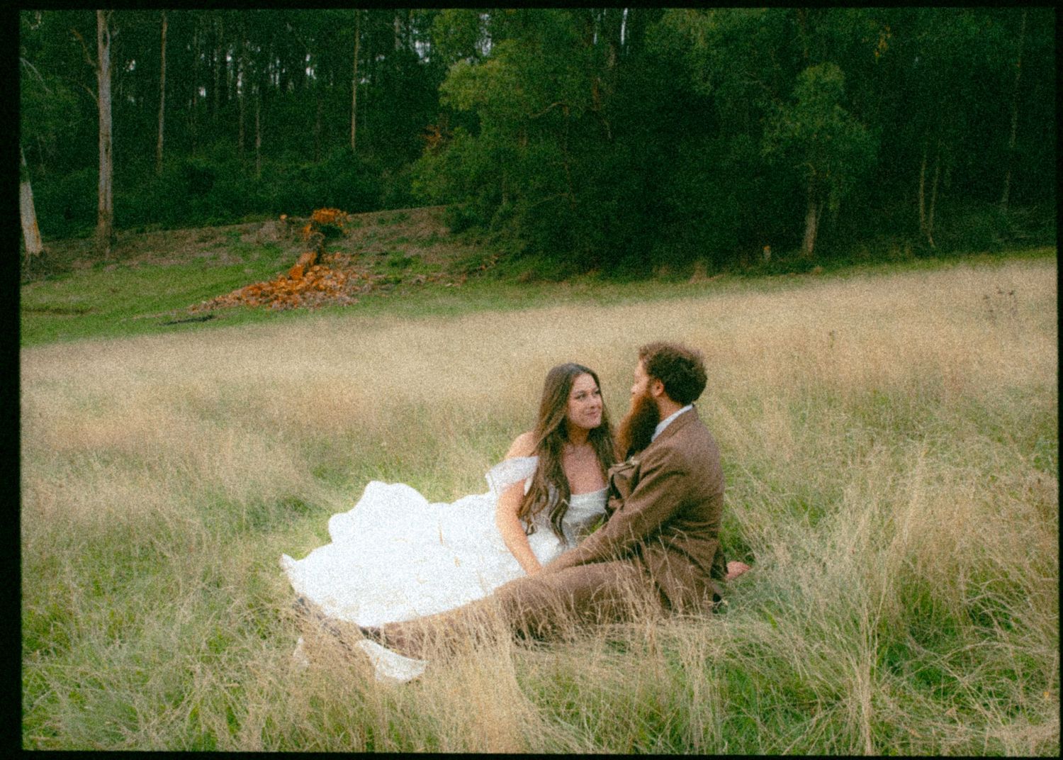 Bride and groom sit together romantically in a golden meadow surrounded by tall grass and forest trees.