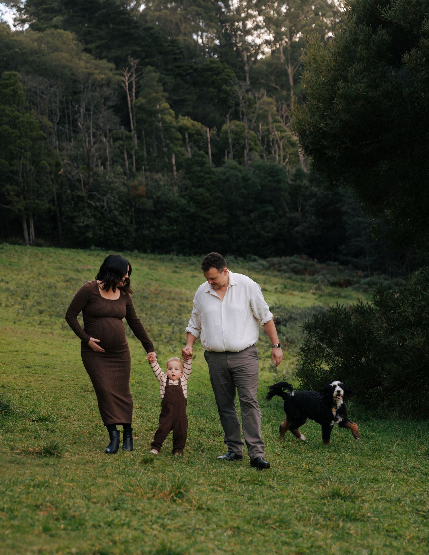 Pregnant couple walks with toddler and Bernese Mountain Dog across green hillside.
