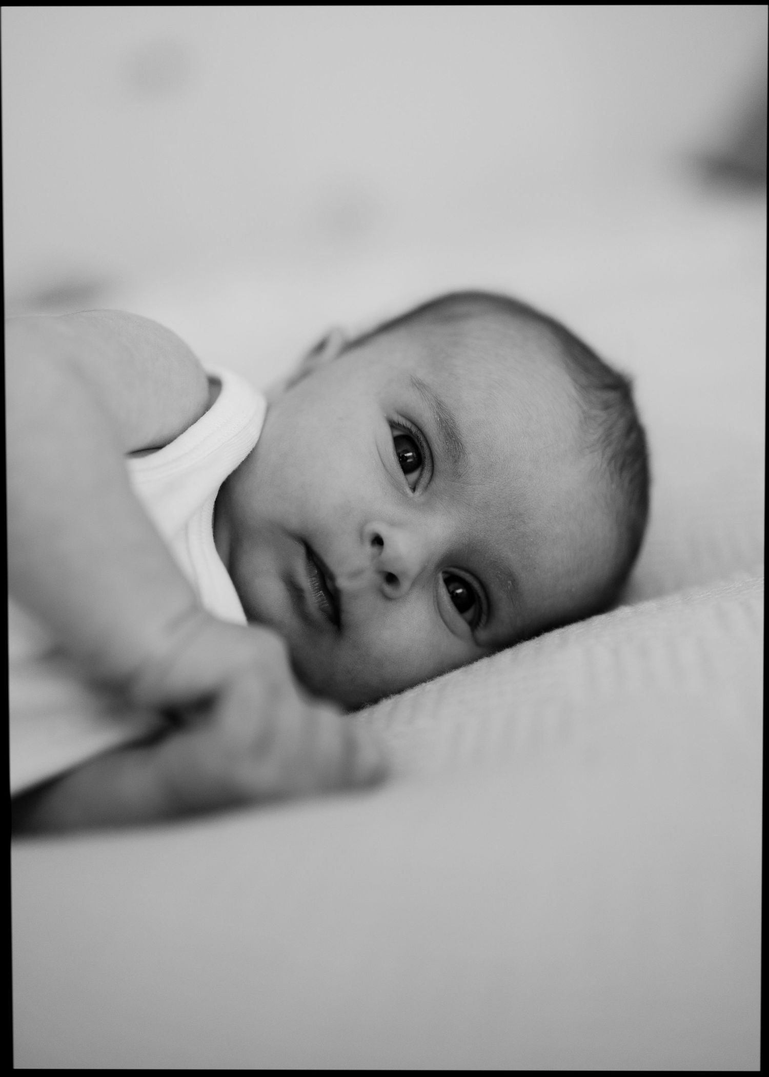 Black and white portrait of an alert newborn baby lying on a soft white blanket.