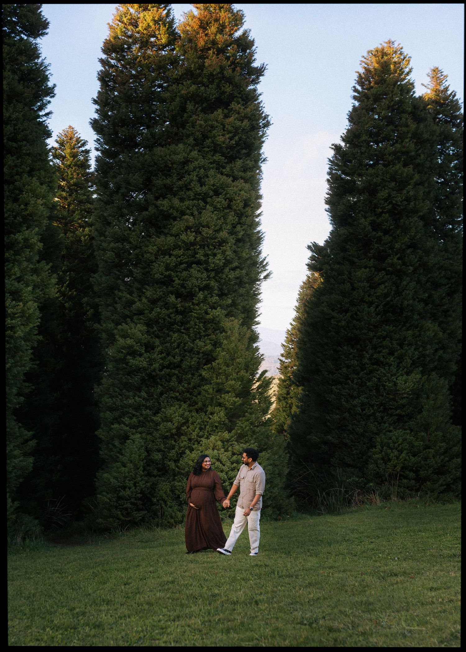 Couple holding hands and walking across a grassy meadow beneath tall evergreen trees at golden hour.