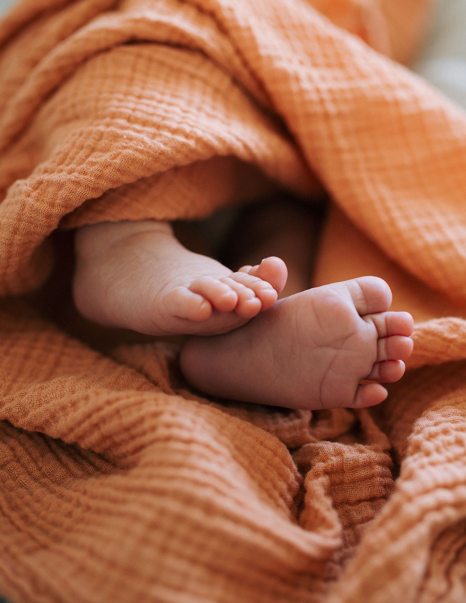 Tiny newborn baby feet peeking out from a soft, textured terracotta orange muslin blanket in warm natural light.