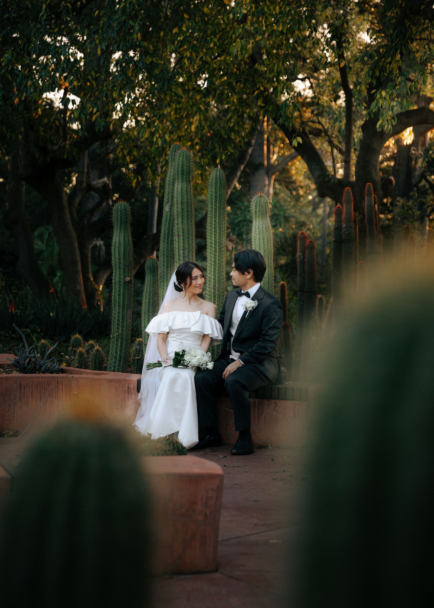 Bride and groom sitting together among tall green cacti in a botanical garden, gazing at each other lovingly.