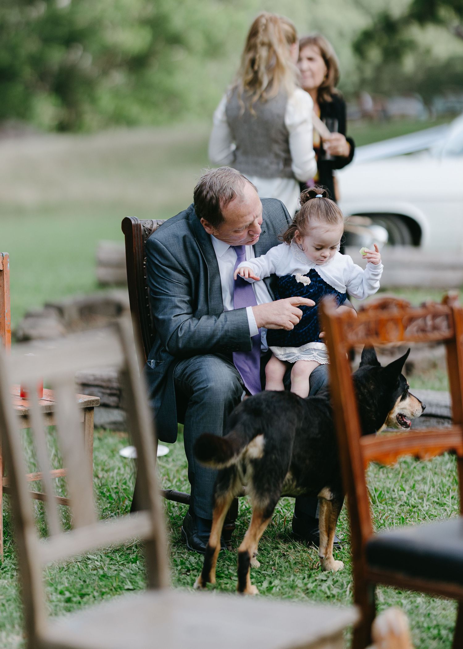 A grandfather in a suit sits outdoors with a toddler on his lap while two small dogs play nearby.