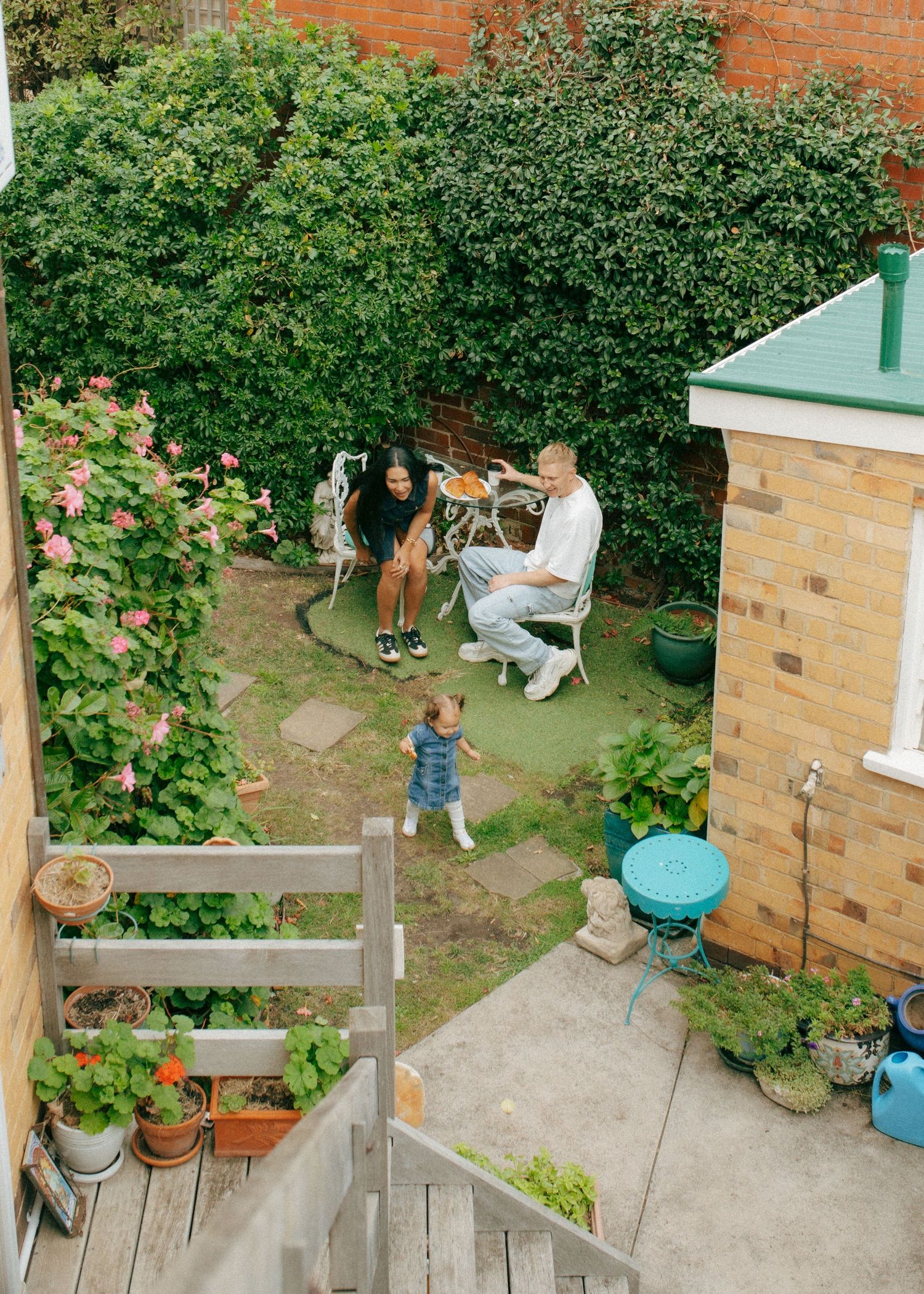 Aerial view of family relaxing in lush green urban backyard garden with toddler walking.