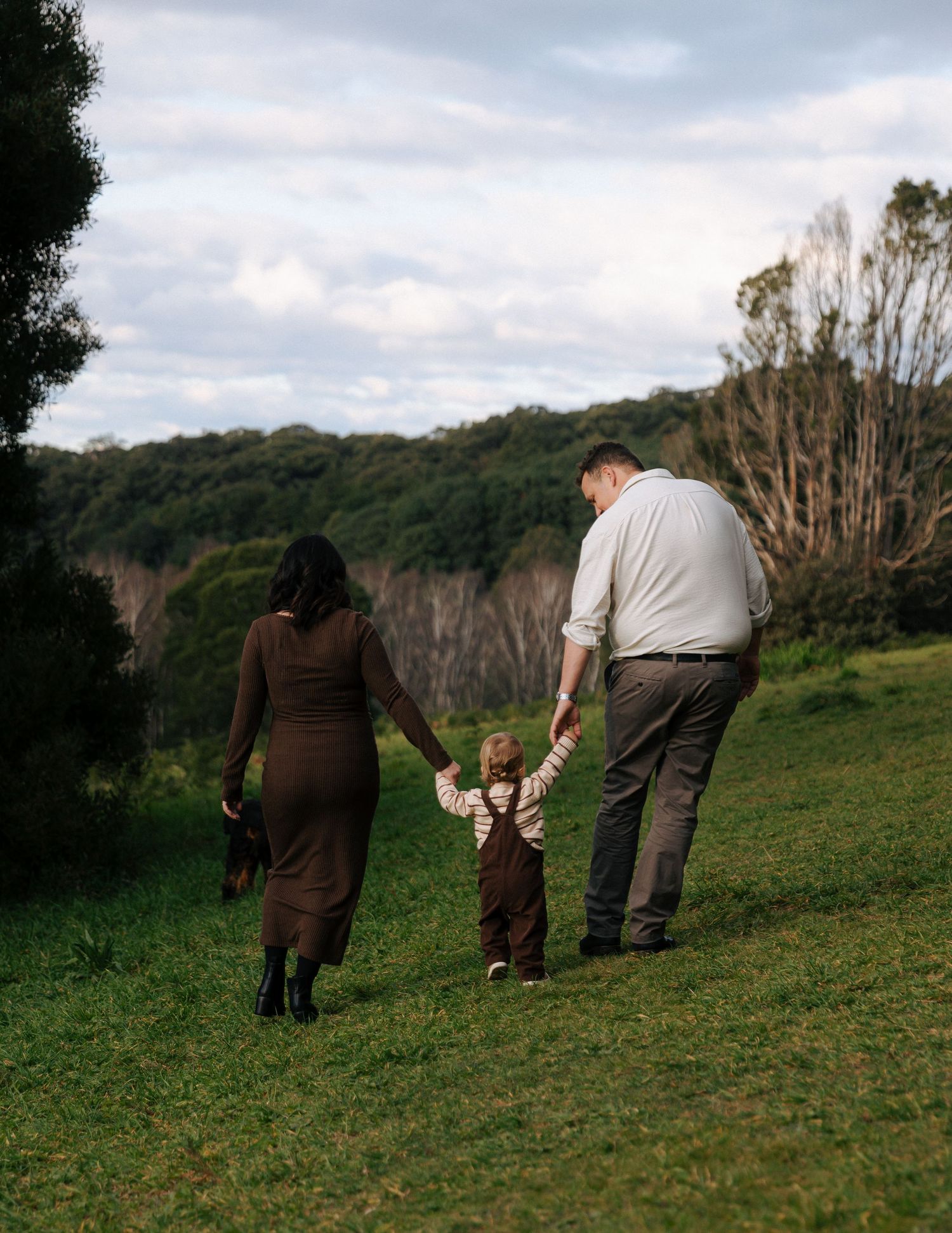 Family of three walks hand-in-hand across lush green meadow with forest backdrop.