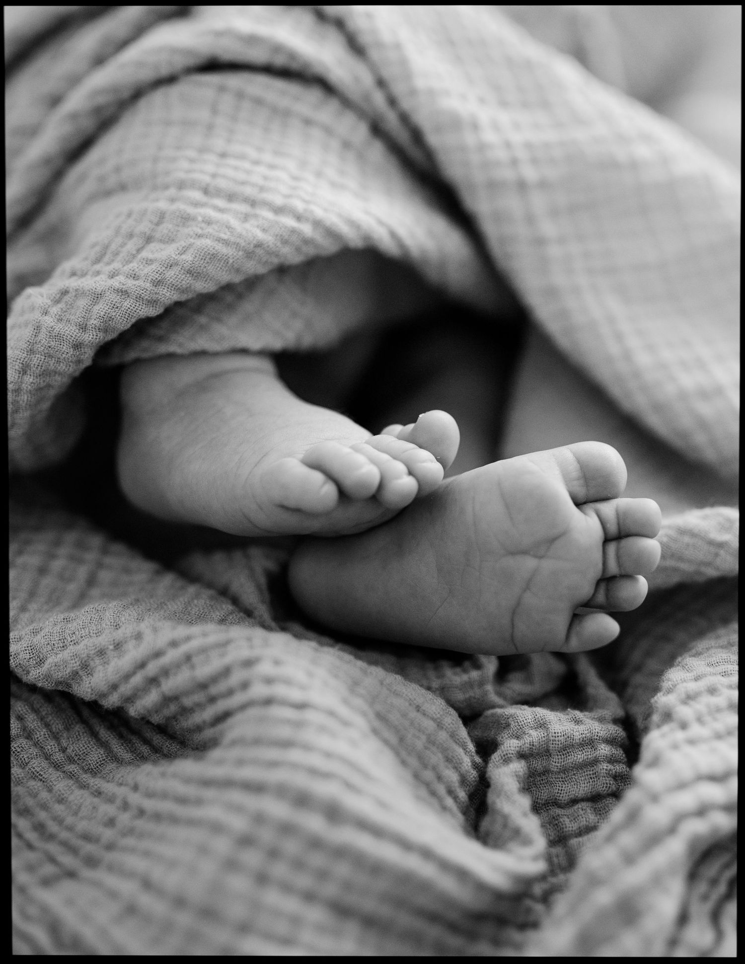 Black and white close-up of a newborn baby's tiny feet peeking out from a soft muslin blanket.