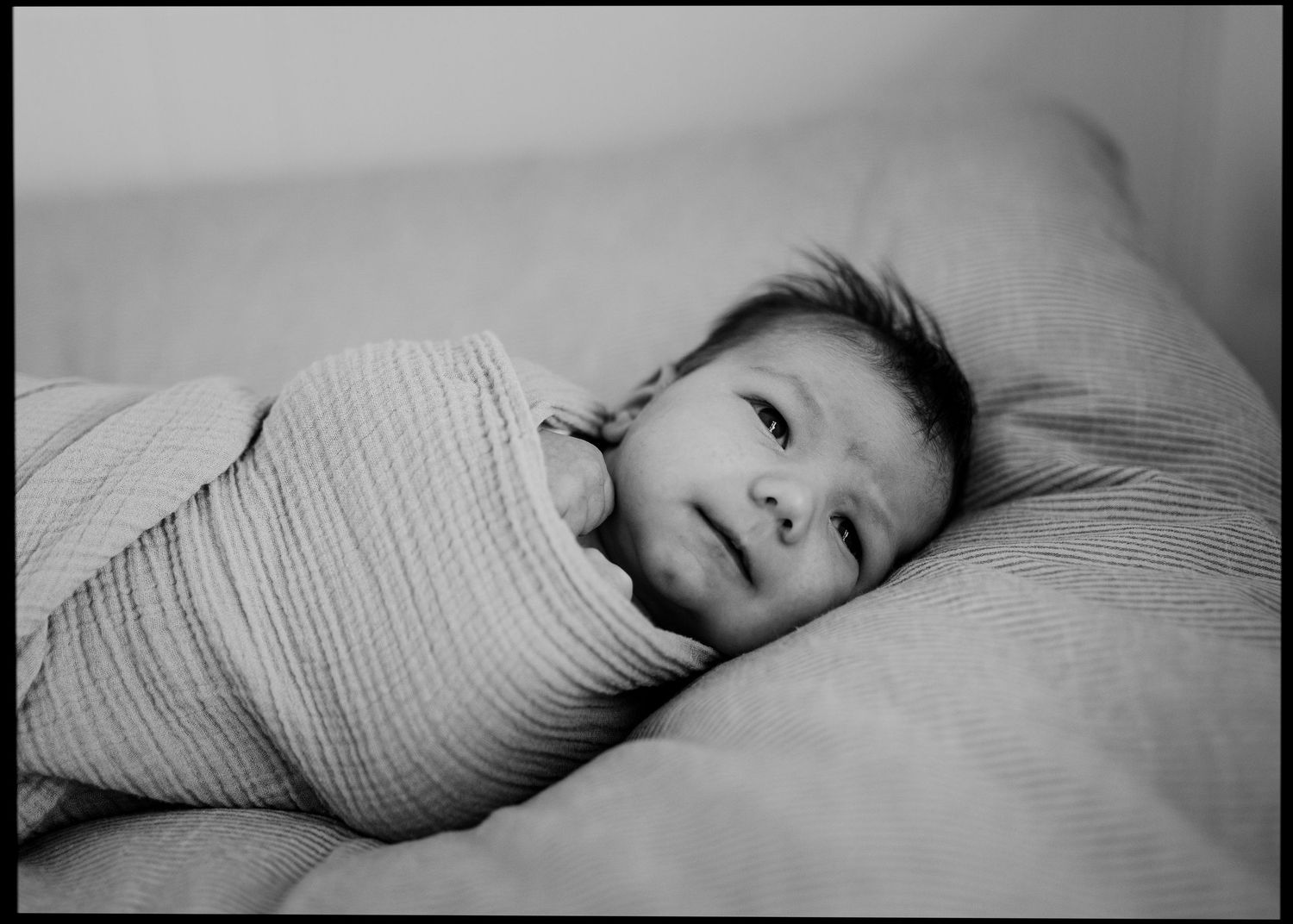 Black and white portrait of a newborn baby swaddled in a muslin blanket, resting on a soft pillow and gazing calmly upward.
