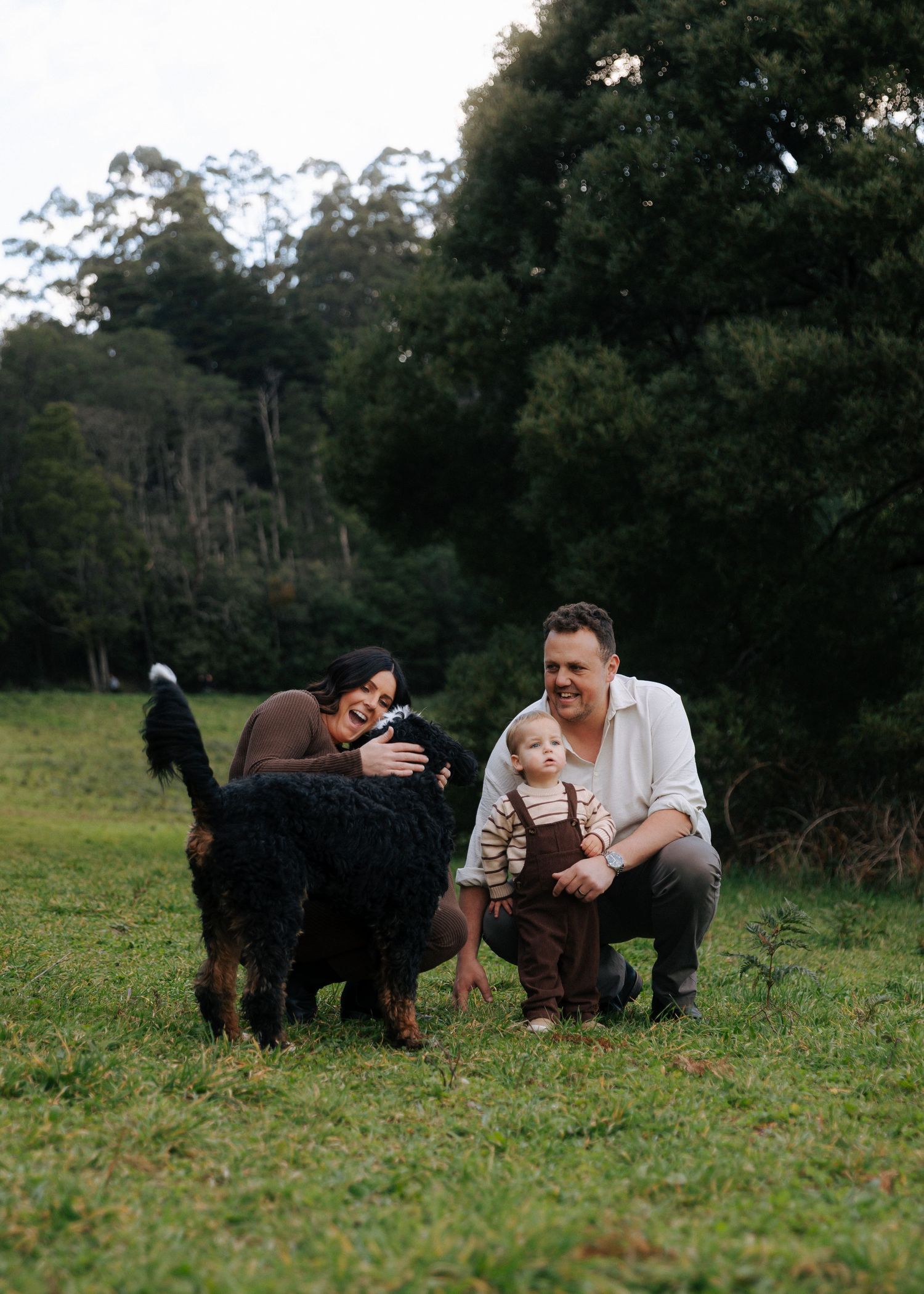 Family with toddler and Bernese Mountain Dog enjoying playful moment on green lawn.
