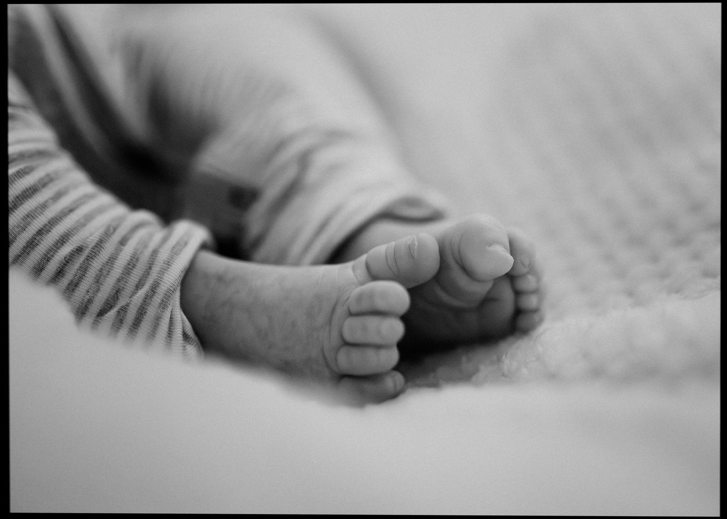 Close-up black and white photo of newborn baby feet on a soft blanket.