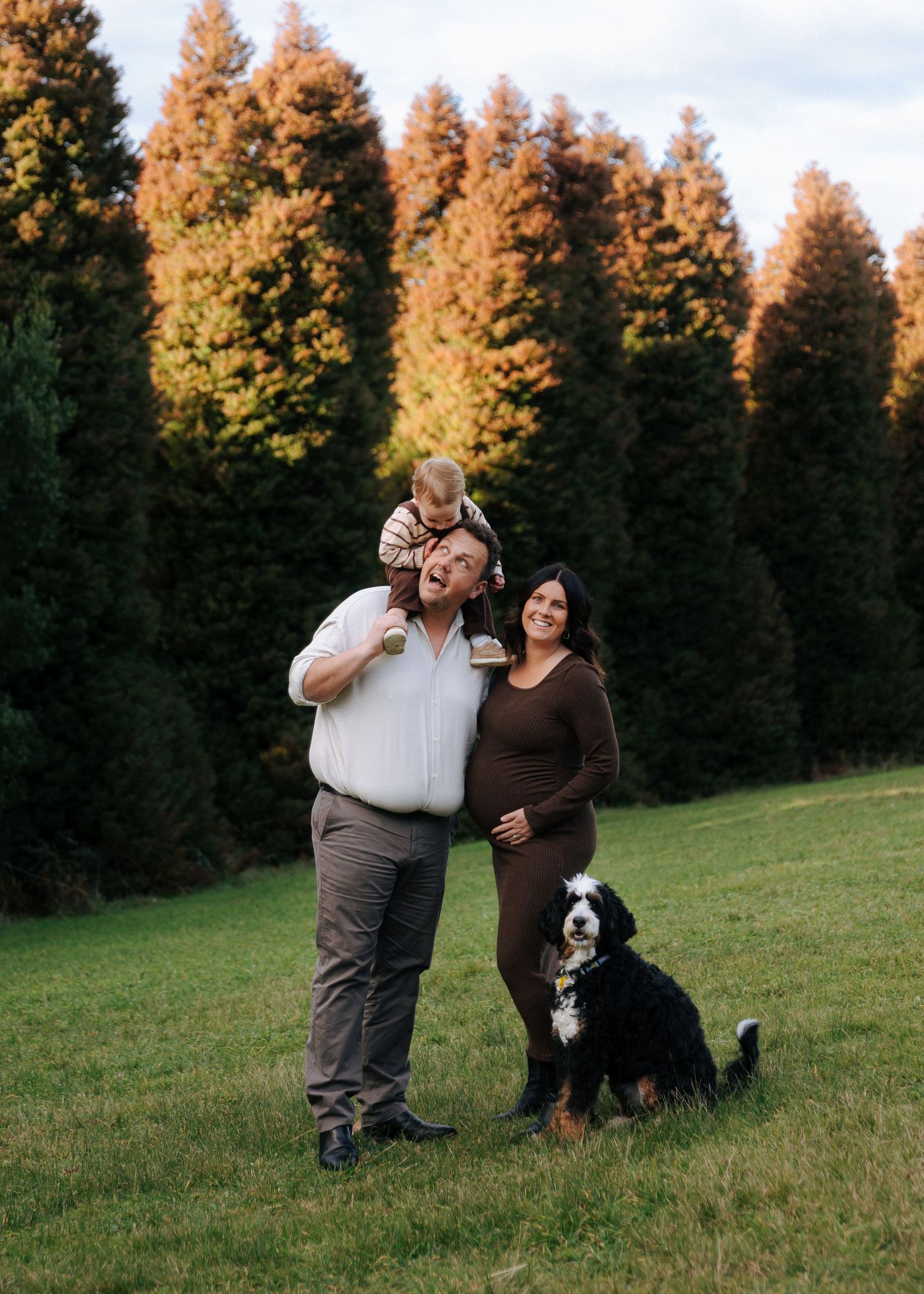Family with toddler on dad's shoulders, pregnant mom, and Bernese Mountain Dog.