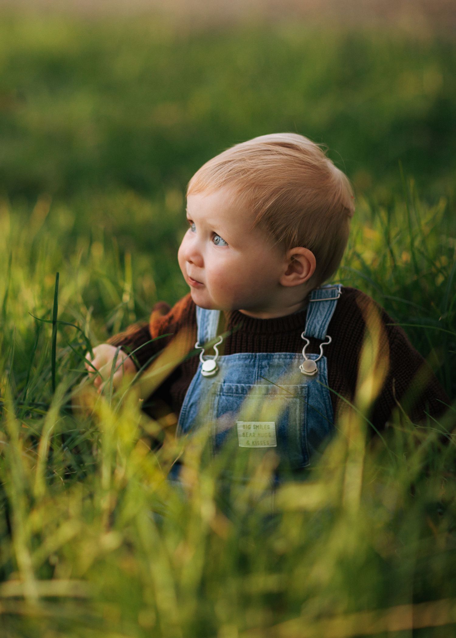 Adorable toddler in denim overalls sitting in tall green grass looking into the distance.