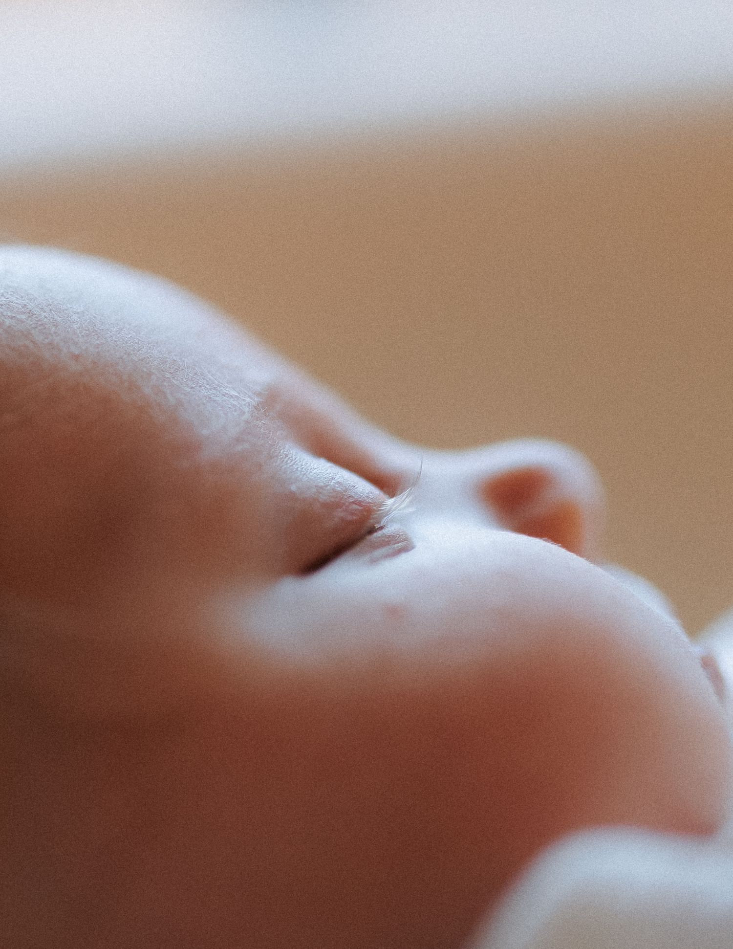 Soft close-up profile of a sleeping newborn baby face with delicate features.