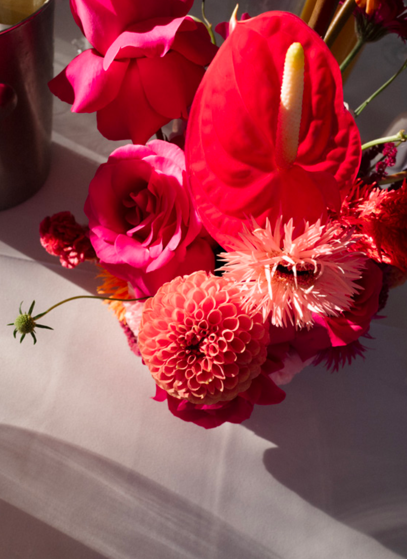 Vibrant red roses and coral flowers arranged in dramatic sunlit composition.