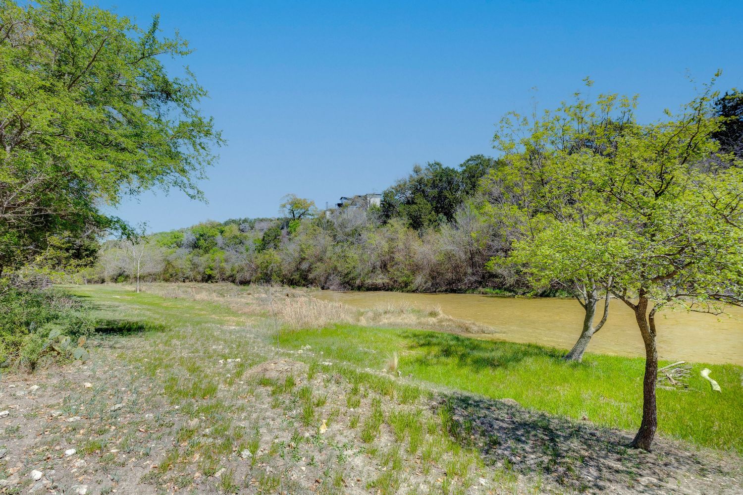 Scenic Texas landscape with muddy river, lush green trees, and grassy banks under a clear blue sky.