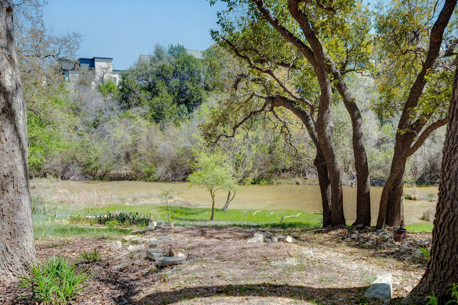 Serene park landscape with tall oak trees, lush greenery, and a calm river in the background under a clear blue sky.