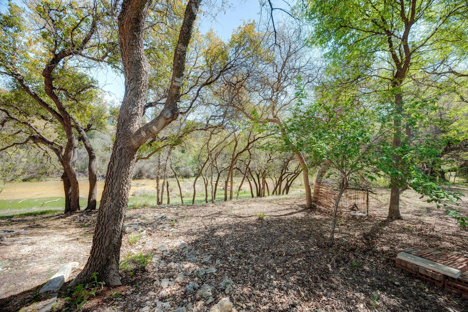 Wooded lot with mature oak trees, dappled sunlight, and natural leaf-covered ground in a serene outdoor setting.